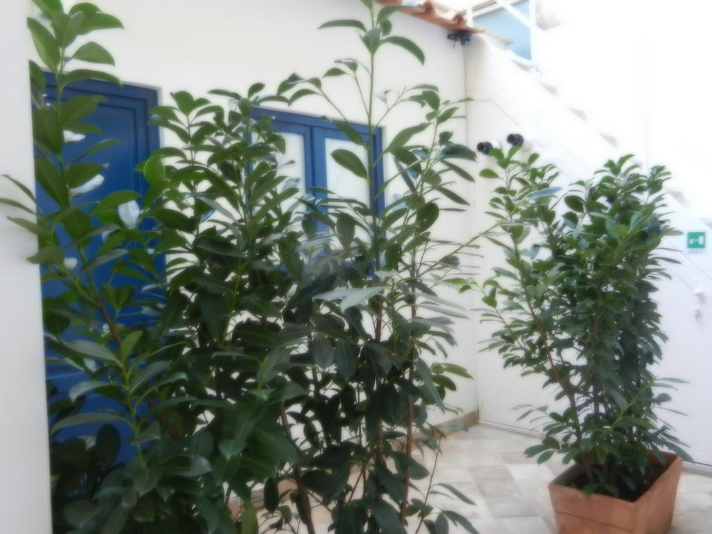 My suite Sorrente Chambre photo